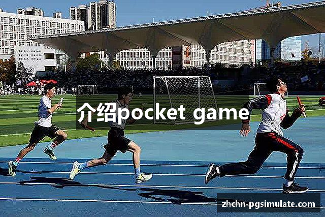 介绍pocket game